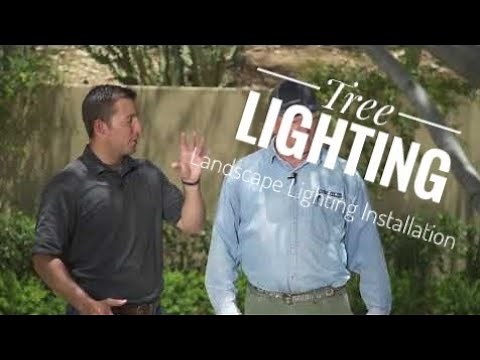 Landscape Lighting Installation - Tree Lighting Tips