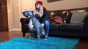 9.9K views · 278 reactions | A Poop update! So here’s a bit of a...