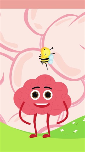 🧠 A FASCINATING Secret About the Brain | Educational Videos for Kids | @HappyLearningEN