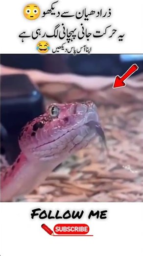 4 Powerful Motivation Quotes to Achieve Successfully life #motivation #inspiration