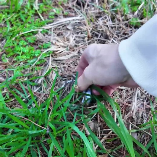 #Busqué con Detector de Metales en Estadios de Futbol
