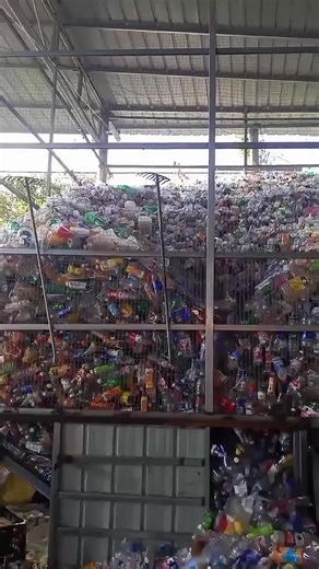 Underwear Made from Recycled Materials: A Sustainable Choice