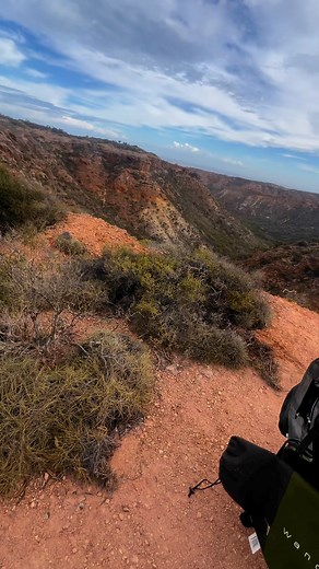 Dinner with a view 😮‍💨 | Elusive Catch