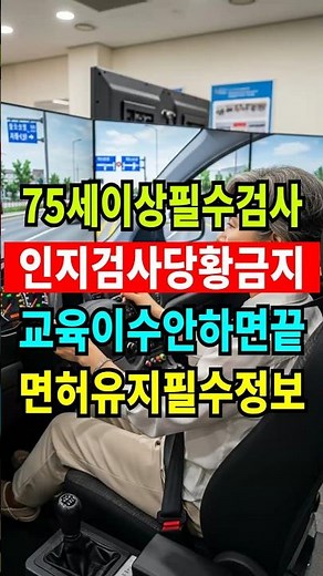 75세 이상 운전면허! 이 교육 안 받으면 날아갑니다! #고령운전자 #면허갱신 #인지선별검사 #교통안전교육 #쇼츠 #shorts