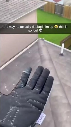 Bird dabbing man up meme