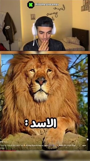 كيف سيكون شكل الحيوانات اذا تطورت واصبحت بشر