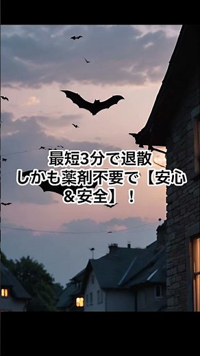 コウモリ撃退音 3分で退散！屋根裏・ベランダ対策に効く30〜40kHz超音波