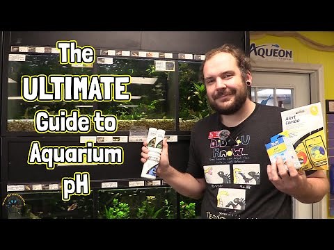 How To Control the pH of the Water in Your Aquarium - TDI's Ultimate Guide to pH!