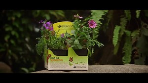 We've made it easy to fill your garden with beautiful butterflies. Look for our neonics-free Butterfly Pollinator Plant Collections at your local retailer starting May 15. | Canadian Wildlife Federation / Fédération canadienne de la faune