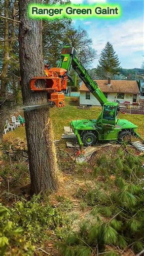 Wait...🔥 Giant Machine vs Massive Tree! 🤯#shorts#shredder#treecutting#chainsaw#wood#viral#excavator