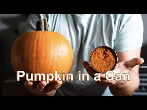 Turn Canned Pumpkin into Magic