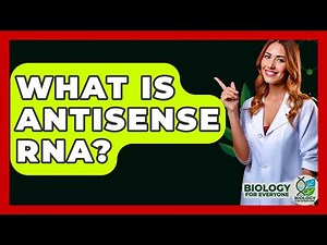 What Is Antisense RNA? - Biology For Everyone