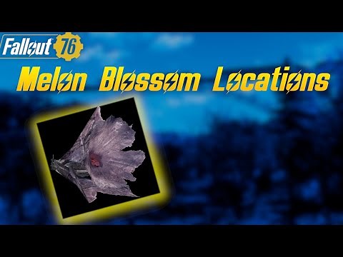 Fallout 76 - Melon Blossom Locations