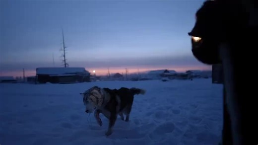 DARK_VIP على TikTok