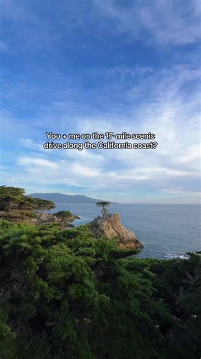 Most beautiful way to spend an afternoon in Monterey, CA! Highly recommend for a California coast road trip #monterey #17miledrive #scenicdrive #californiacoast #roadtrip