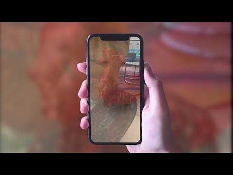 Easily convert your 3D models into AR ready USDZ for free.