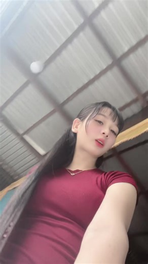 Chim vao long #hvcsnd #ti