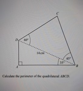 Calculate the perimeter of the quadrilateral ABCD.... | Filo