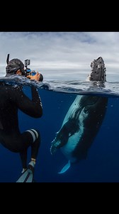 31K views · 292 reactions | TODAY IS THE DAY!!  We will take the...