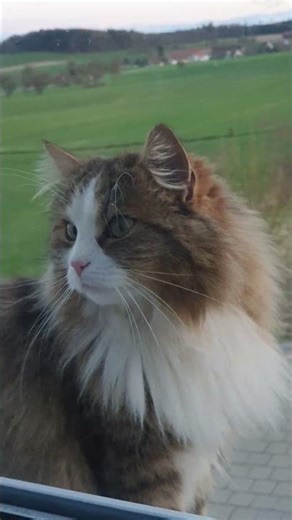 Damn, are they falling from the upper floor!