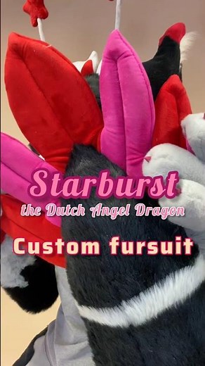 Meet Starburst, the Dutch Angel Dragon fursuit! Custom commission, lemonrat studios #dragonfursuit