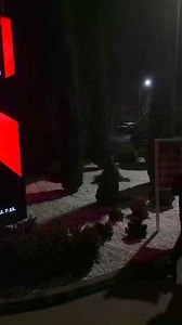 33K views · 495 reactions | Welcome to the world of BHS Trans!  #BHS | BHS Trans Kft. | Facebook