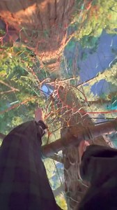 Stuff drop, tour of franklins tower from the top down. #treeweb #spacenets #treenet #paracord | Charlie's Webs