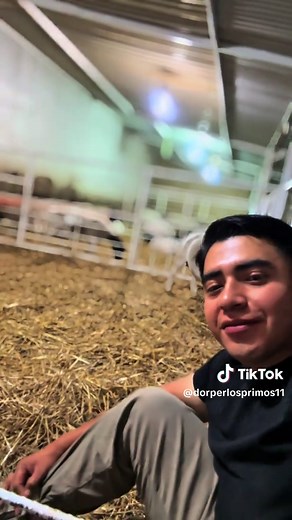 ¡Conoce a los adorables borreguitos de Puebla!