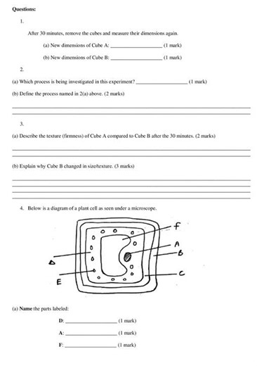 Grade 8 Integrated Science Paper 2 End of Term 2 2026 Exam with Marking Scheme