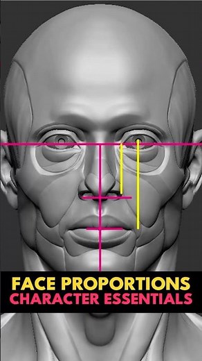 Simple and effective face proportion rules