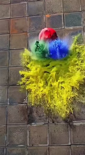 Explore the Vibrant World of Colors