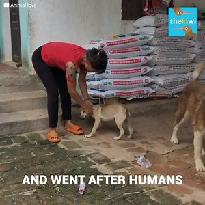 329K views · 10K reactions | Mange was eating her alive, but she...