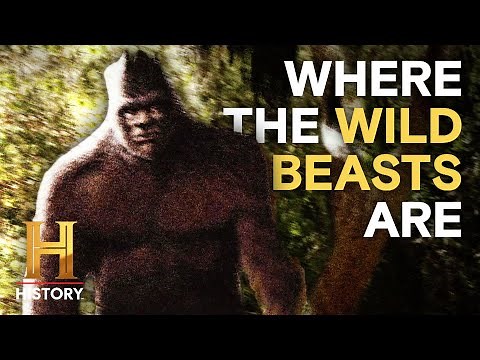 Ancient Aliens: Mysterious Creatures Creep Among Us