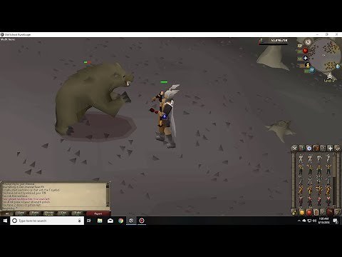 Wilderness slayer: Bears