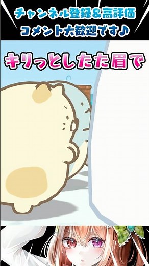 【#アニメ】ぺんぎん？＆ねこ＆とかげのキリっと可愛い/すみっコぐらし つくろう！ステキなすみっコ島【#すみっコぐらし】#shorts #バズれ #sumikkogurashi #角落小夥伴 #角落生物