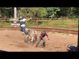 Bull Practice and Bullrider Practice