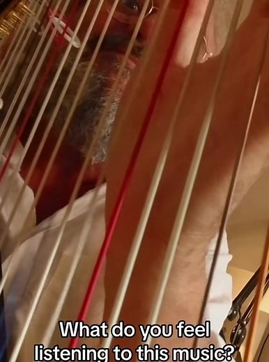 Andreas vollenweider