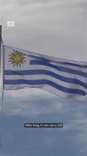 248K views · 3.3K reactions | At 130 metres long, Hull 096 is the...