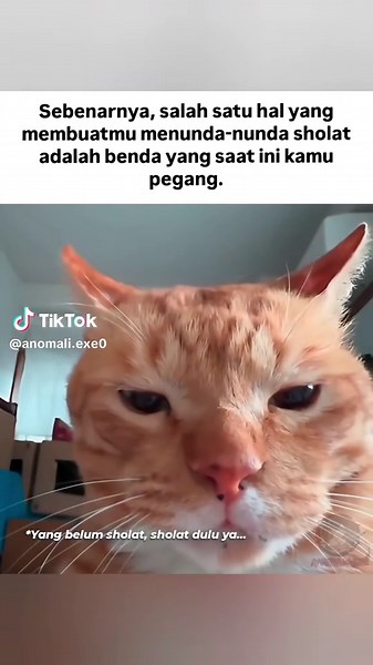 Anomali.exe on TikTok