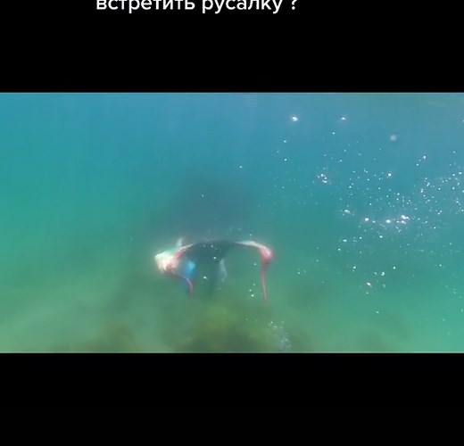 Underwater Mermaid Swimming Experience