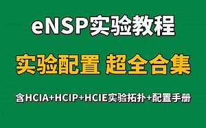 【计算机网络】这绝对是全网最全的网络工程师eNSP实验配置教程（附HCIA   HCIP   HCIE全套实验拓扑）