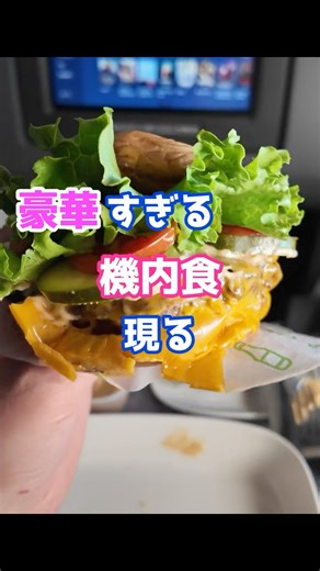 [In-flight meal] Shake Shack in the Sky #shorts #ShakeShack #FirstClass