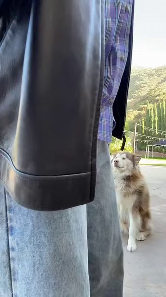 6.7K views · 15 reactions | Step into effortless winter fashion with Sperry—cool looks, warm feels. | Sperry | Facebook