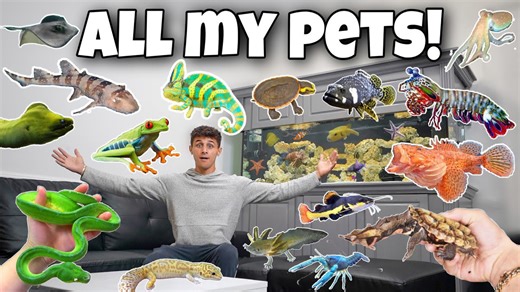 Take a tour of my wild animal family!