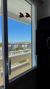 Let’s cook that shit 🎶🏴‍☠️ | Malgash a.k.a Zakai