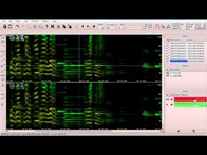 SpectraLayers Tutorials - Voice extraction from a movie