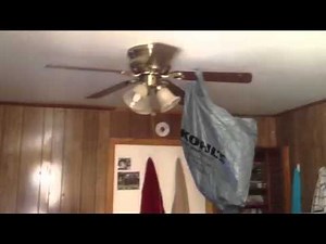 Neil degrasse Tyson at TED