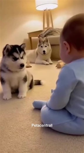 This puppy is OBSESSED with the baby… and the hugs are nonstop