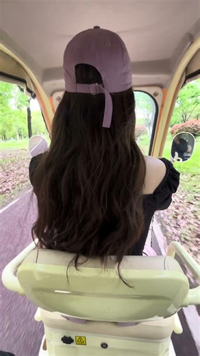 bubushine electric tricycle, powerful enough for tough jobs.