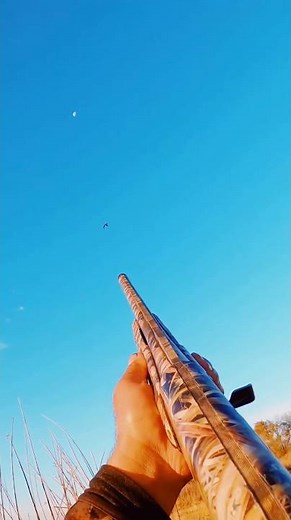 Using ‪@bossshotshells‬ 3 inch number 4s , full choke ! #duckhunting #waterfowl ‪@bossshotshells‬ #duck
